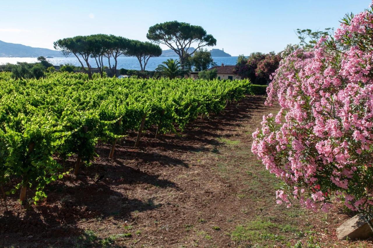 Tenuta La Chiusa Portoferraio Bagian luar foto