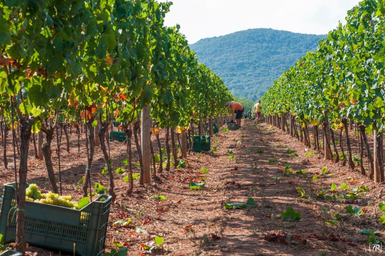 Tenuta La Chiusa Portoferraio Bagian luar foto